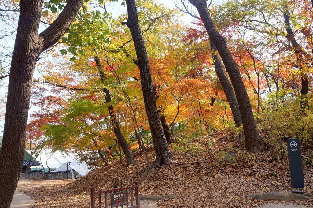 DSC02416.JPG