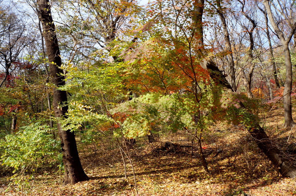 DSC02425.JPG