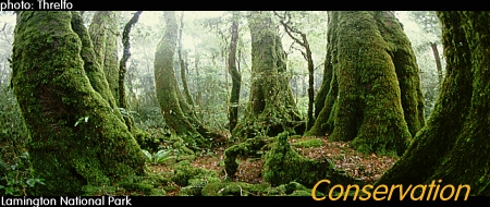 conservation_head1.jpg conservation_head1.jpg