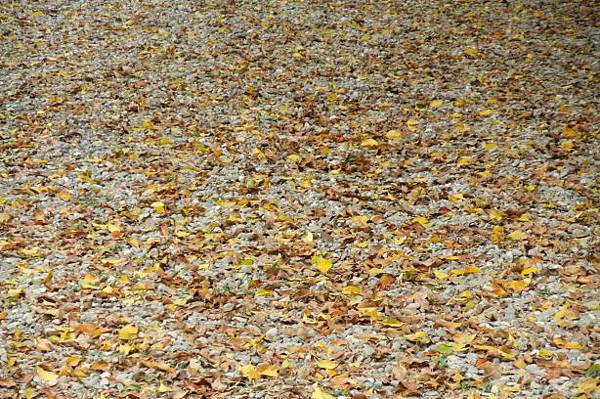 DSCF9245最後 DSCF9245最後