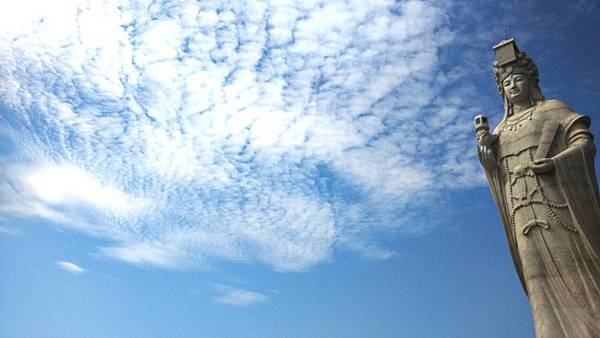 IMG_20140821_145455-1