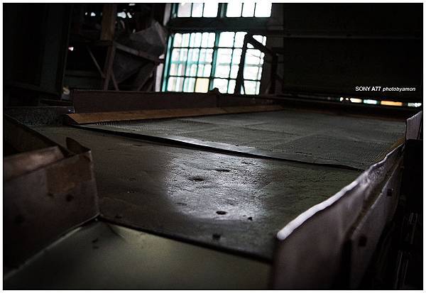 台灣紅茶 31 台灣紅茶 31