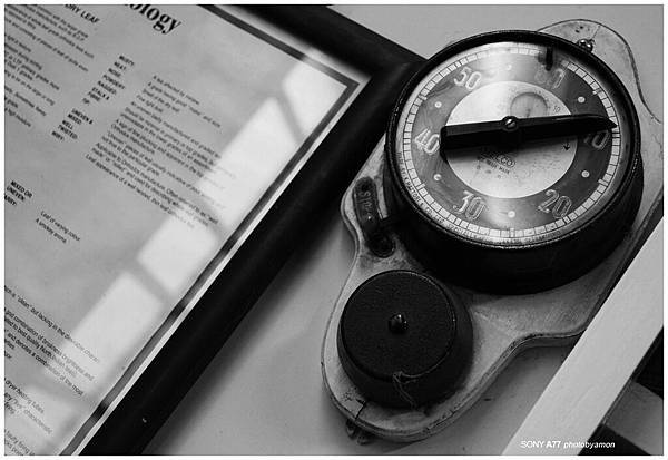 台灣紅茶 43 台灣紅茶 43