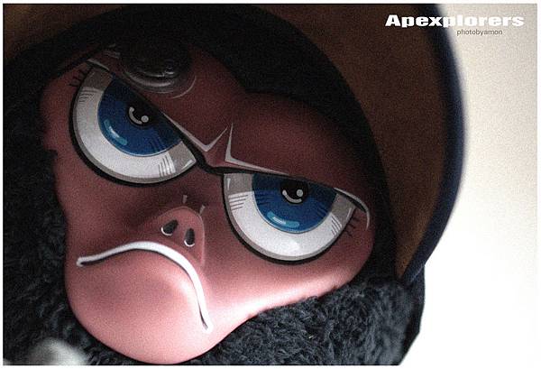 apextaobao 1 apextaobao 1