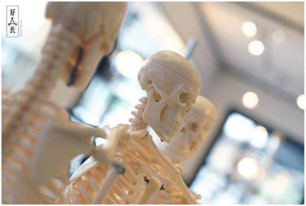 好氏研究室 10 好氏研究室 10