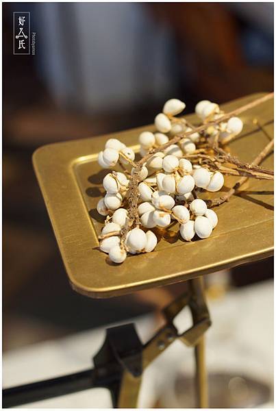 好氏研究室 5 好氏研究室 5