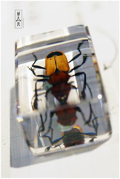 好氏研究室 16 好氏研究室 16