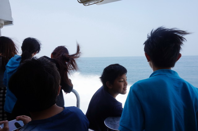 DSC02066.jpg