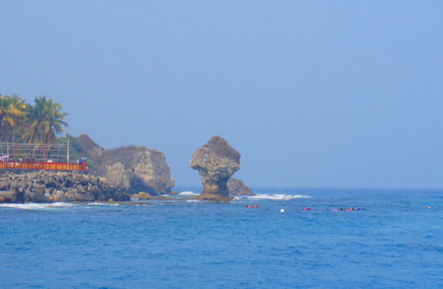 DSC02199.jpg
