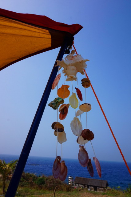 DSC02594.jpg