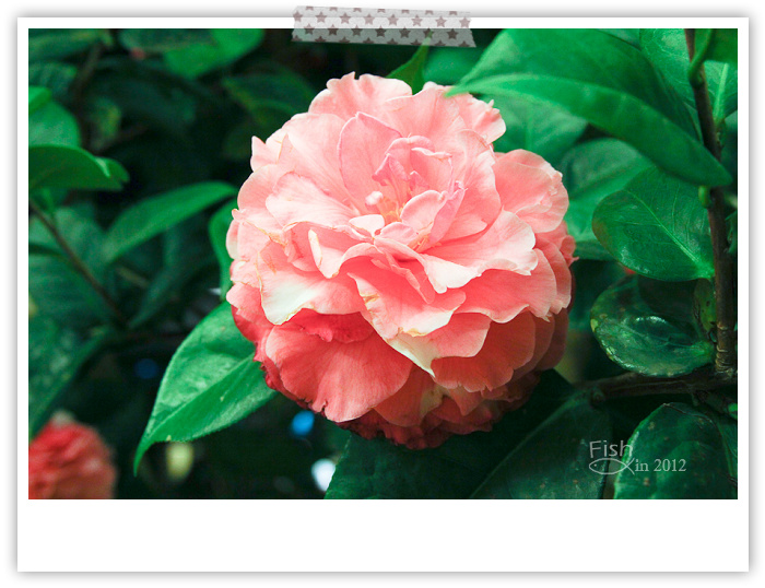 照片_0206-1 照片_0206-1
