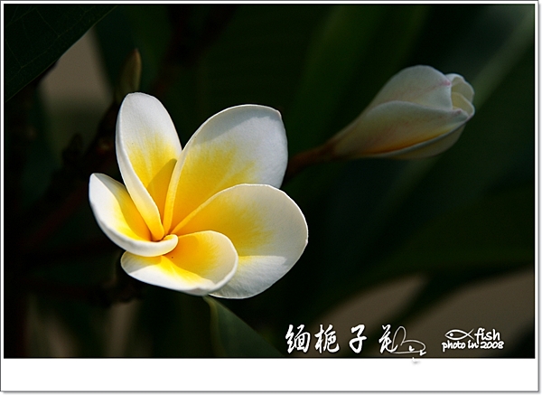 照片_0713-1.jpg 照片_0713-1.jpg