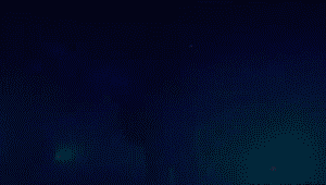 13055360699614100_20120101173317.jpg