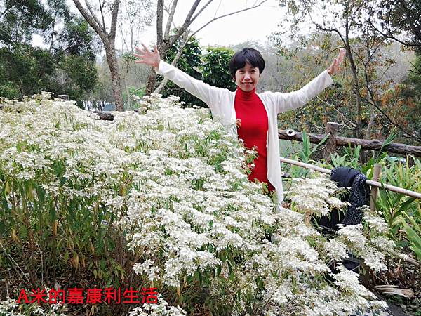 嘉康利江南渡假村獎勵旅遊 (012) 嘉康利江南渡假村獎勵旅遊 (012)