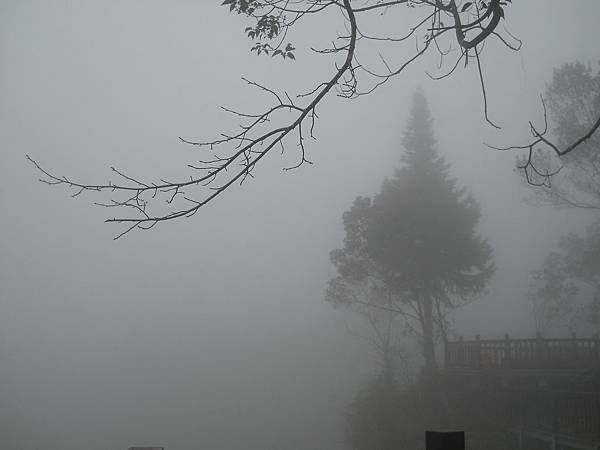 DSCN8816.JPG DSCN8816.JPG