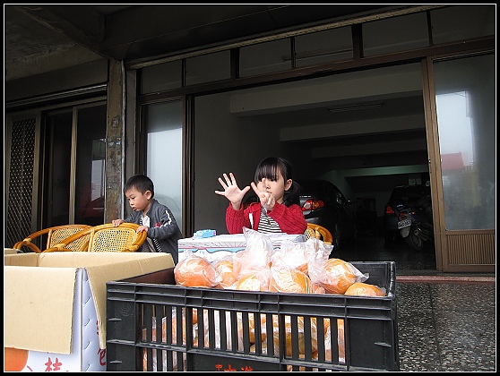 IMG_0007 IMG_0007
