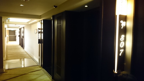 南投縣魚池鄉~日月潭大飯店(Sun Moon Lake Ho 南投縣魚池鄉~日月潭大飯店(Sun Moon Lake Ho