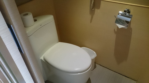 南投縣魚池鄉~日月潭大飯店(Sun Moon Lake Ho 南投縣魚池鄉~日月潭大飯店(Sun Moon Lake Ho