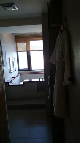 南投縣魚池鄉~日月潭大飯店(Sun Moon Lake Ho 南投縣魚池鄉~日月潭大飯店(Sun Moon Lake Ho