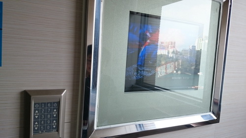 南投縣魚池鄉~日月潭大飯店(Sun Moon Lake Ho 南投縣魚池鄉~日月潭大飯店(Sun Moon Lake Ho