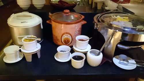 南投縣魚池鄉~日月潭大飯店(Sun Moon Lake Ho 南投縣魚池鄉~日月潭大飯店(Sun Moon Lake Ho