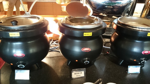 南投縣魚池鄉~日月潭大飯店(Sun Moon Lake Ho 南投縣魚池鄉~日月潭大飯店(Sun Moon Lake Ho