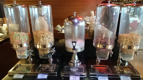 南投縣魚池鄉~日月潭大飯店(Sun Moon Lake Ho 南投縣魚池鄉~日月潭大飯店(Sun Moon Lake Ho