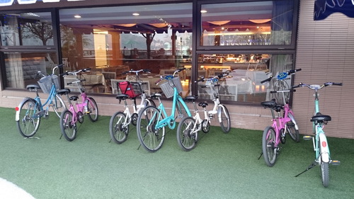 南投縣魚池鄉~日月潭大飯店(Sun Moon Lake Ho 南投縣魚池鄉~日月潭大飯店(Sun Moon Lake Ho