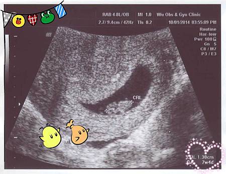 1031001 7w4d 01 1031001 7w4d 01