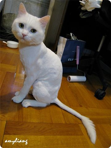 很帥吧!還擺pose給我拍，真上相!!