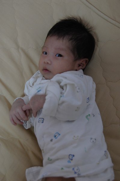 小袋鼠.JPG 小袋鼠.JPG