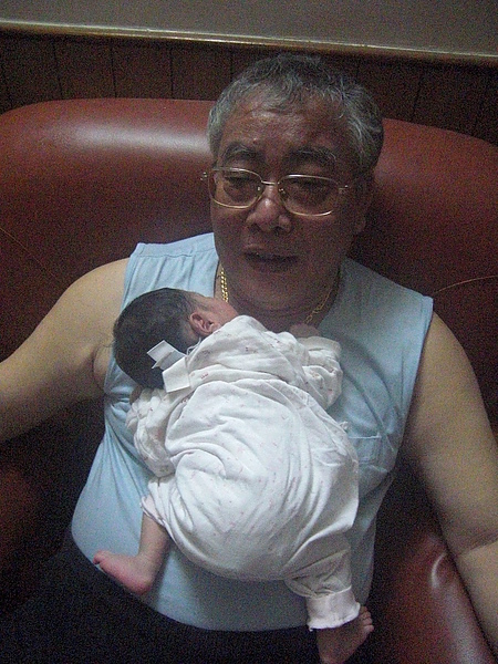 無尾熊.JPG 無尾熊.JPG