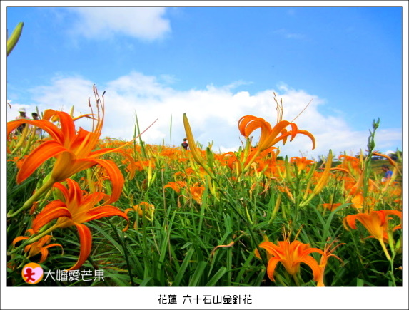 花蓮 027 花蓮 027