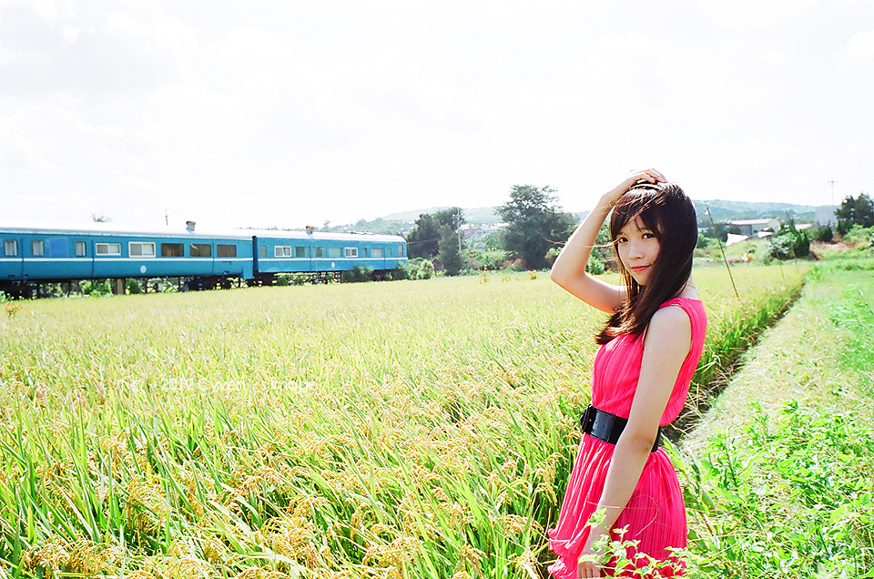 small King outdoor photo (14)