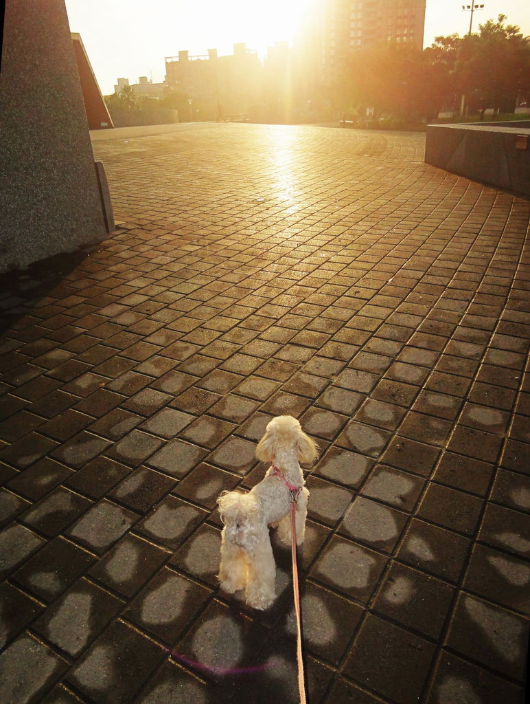 DSC06012小小 DSC06012小小