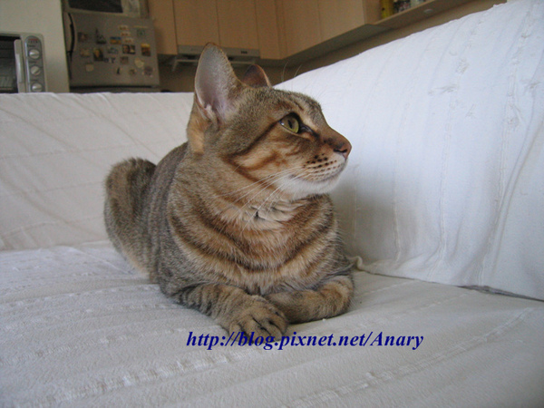 照片 001.jpg 照片 001.jpg