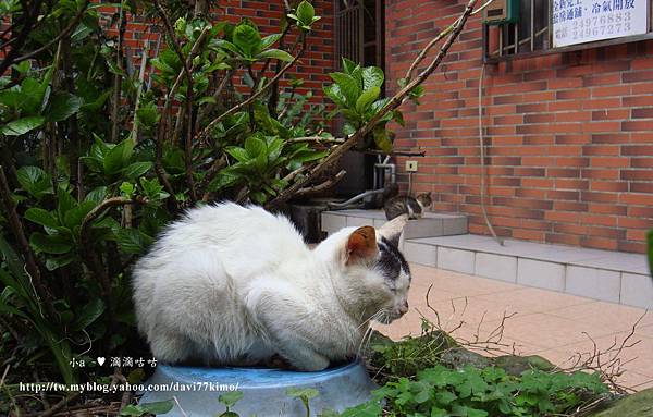 DSC02694 DSC02694