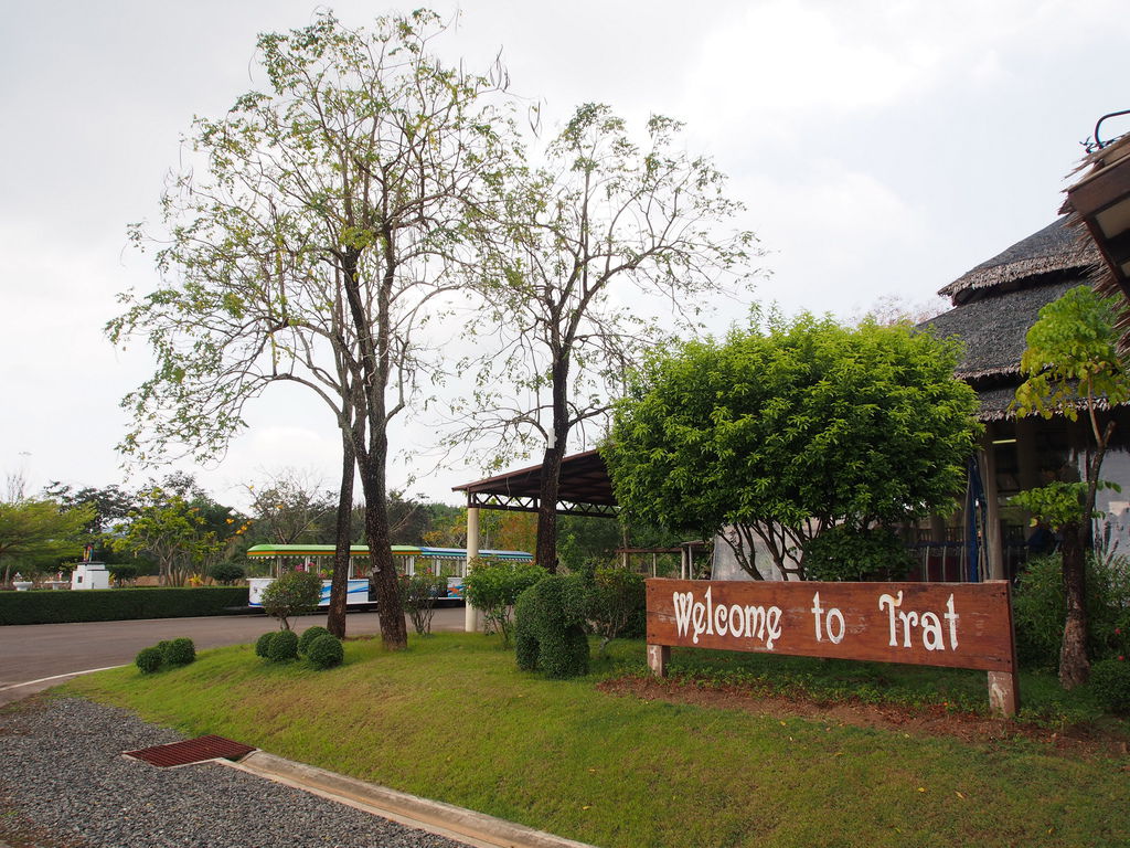 P2261183_調整大小.JPG P2261183_調整大小.JPG