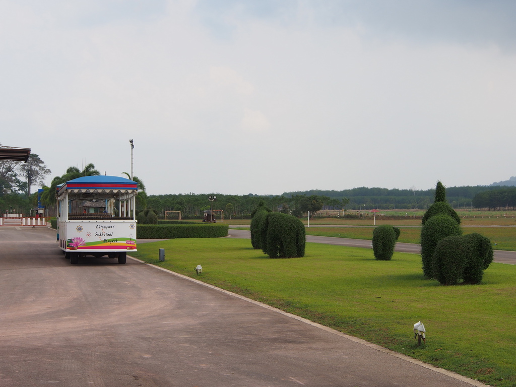 P2261186_調整大小.JPG P2261186_調整大小.JPG