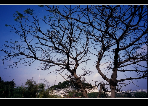 Image22.jpg Image22.jpg