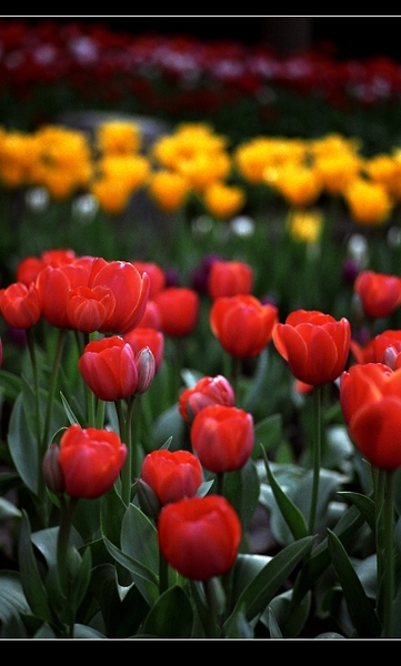 nEO_IMG_Image2.jpg nEO_IMG_Image2.jpg