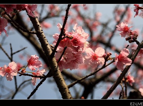 nEO_IMG_DPP_0045.jpg nEO_IMG_DPP_0045.jpg