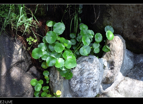 nEO_IMG_Image29.jpg nEO_IMG_Image29.jpg