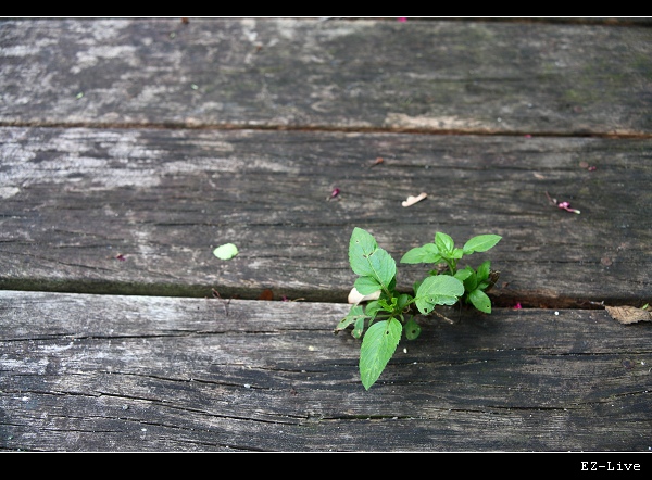 nEO_IMG_IMG_8179.jpg nEO_IMG_IMG_8179.jpg