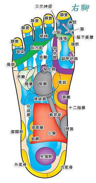 2007320-4.jpg