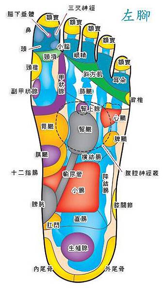 2007320-5.jpg