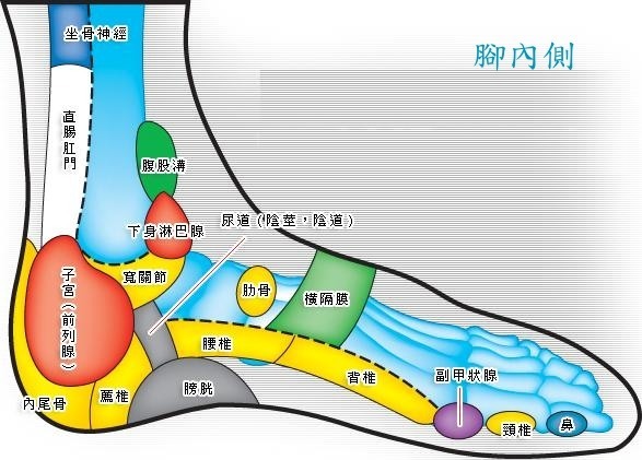 2007320-7.jpg