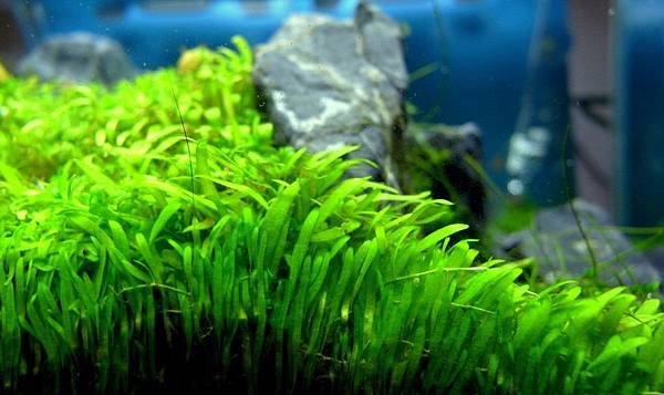 小山景12-3-7 (2).JPG