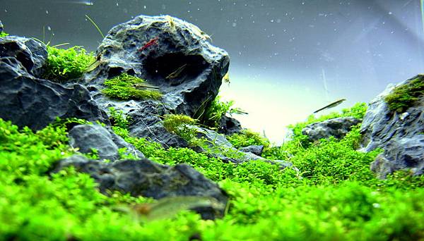 小山景12-3-7 (4).JPG