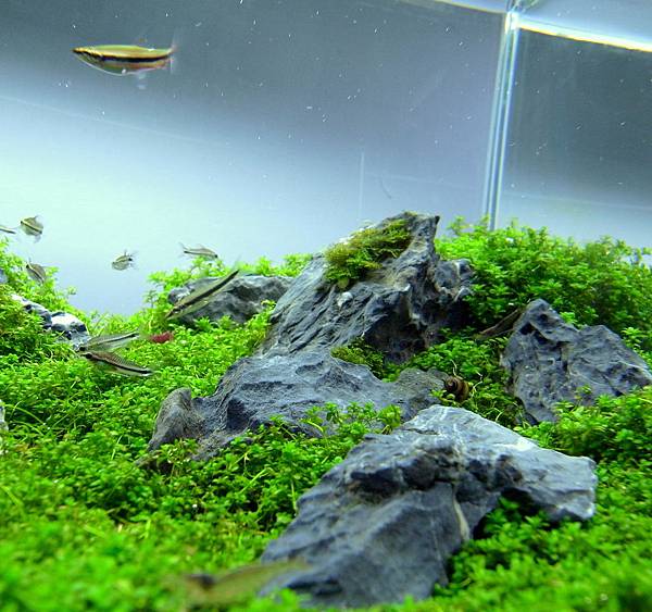 小山景12-3-7 (5).JPG